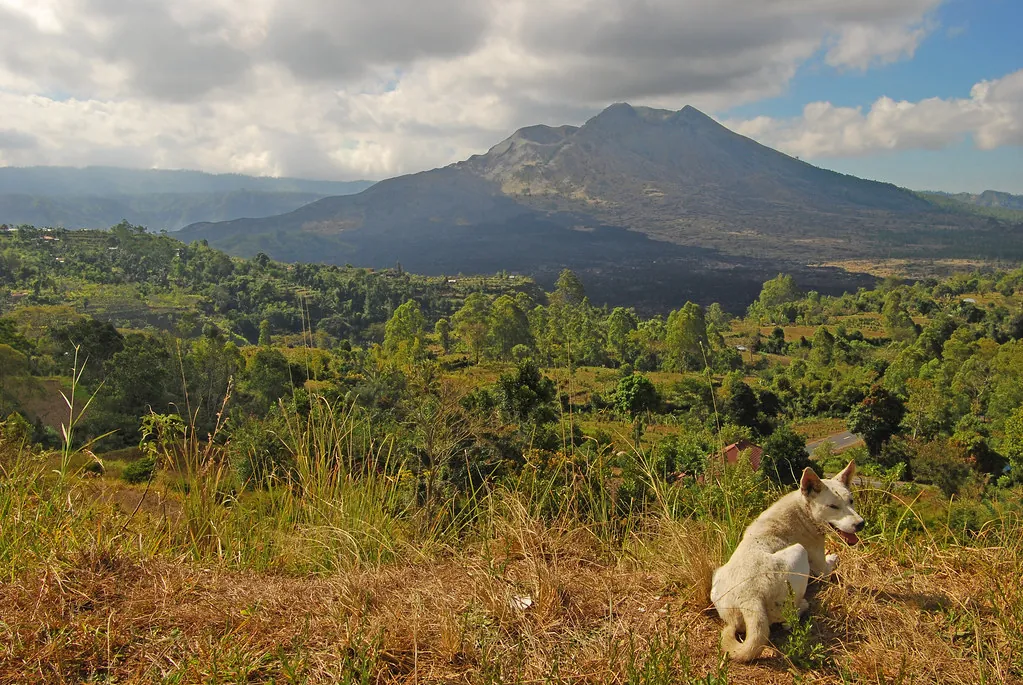 Bali – Mount Batur Volcano